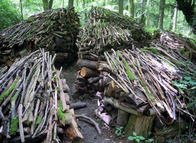 Un pourrissoir dans les sous-bois, Centre départemental d'art contemporain de Chamarande