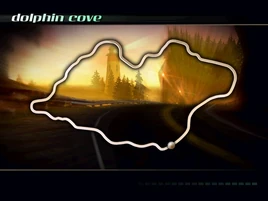 NFSHSDolphinCoveSlide