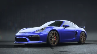 NFSUB Porsche CaymanGT42015.jpg (3,56 MB) Unbound