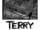 Terry