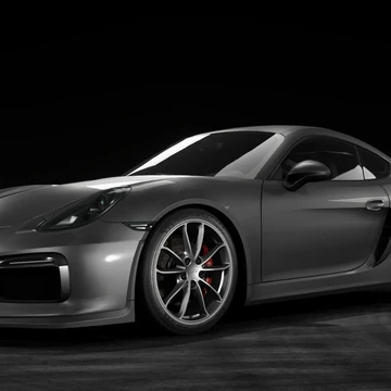 Porsche Cayman Gt4 Need For Speed Wiki Fandom Any of the relatively small crocodilians of genus caiman, within family alligatoridae. porsche cayman gt4 need for speed