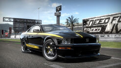 Shelby Terlingua Mustang