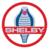 ShelbySmallMain
