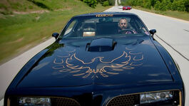 Need for Speed (Film) Stock