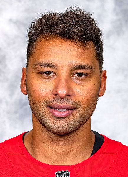 Trevor Daley NHL Hockey Wikia Fandom