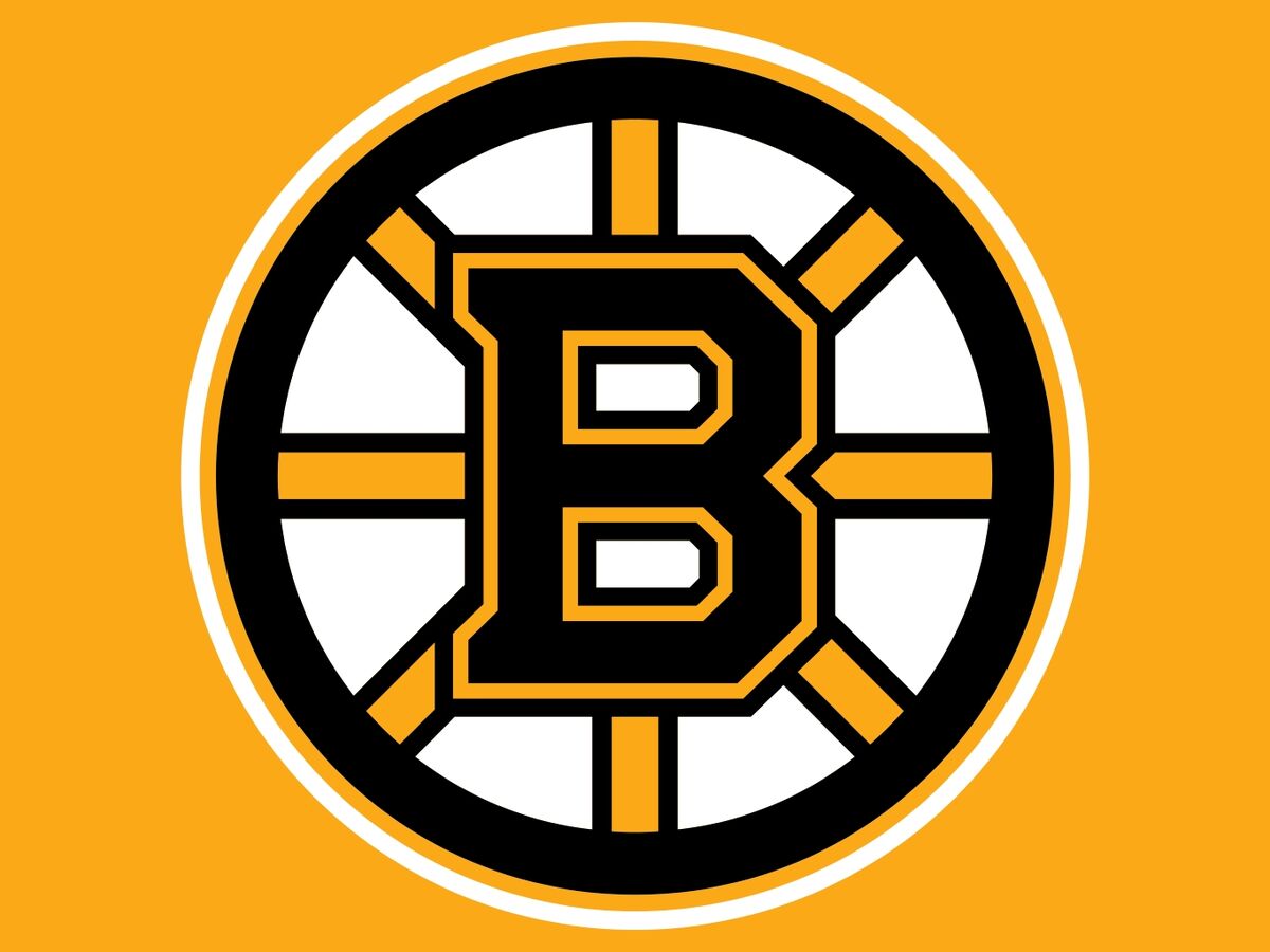 Boston Bruins Nhl Hockey Wikia Fandom