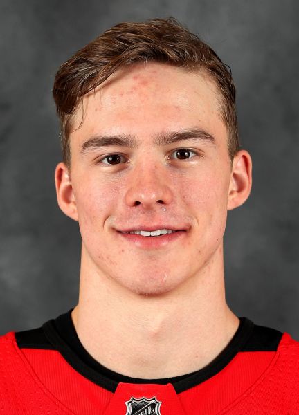 Andrei Svechnikov, Wiki