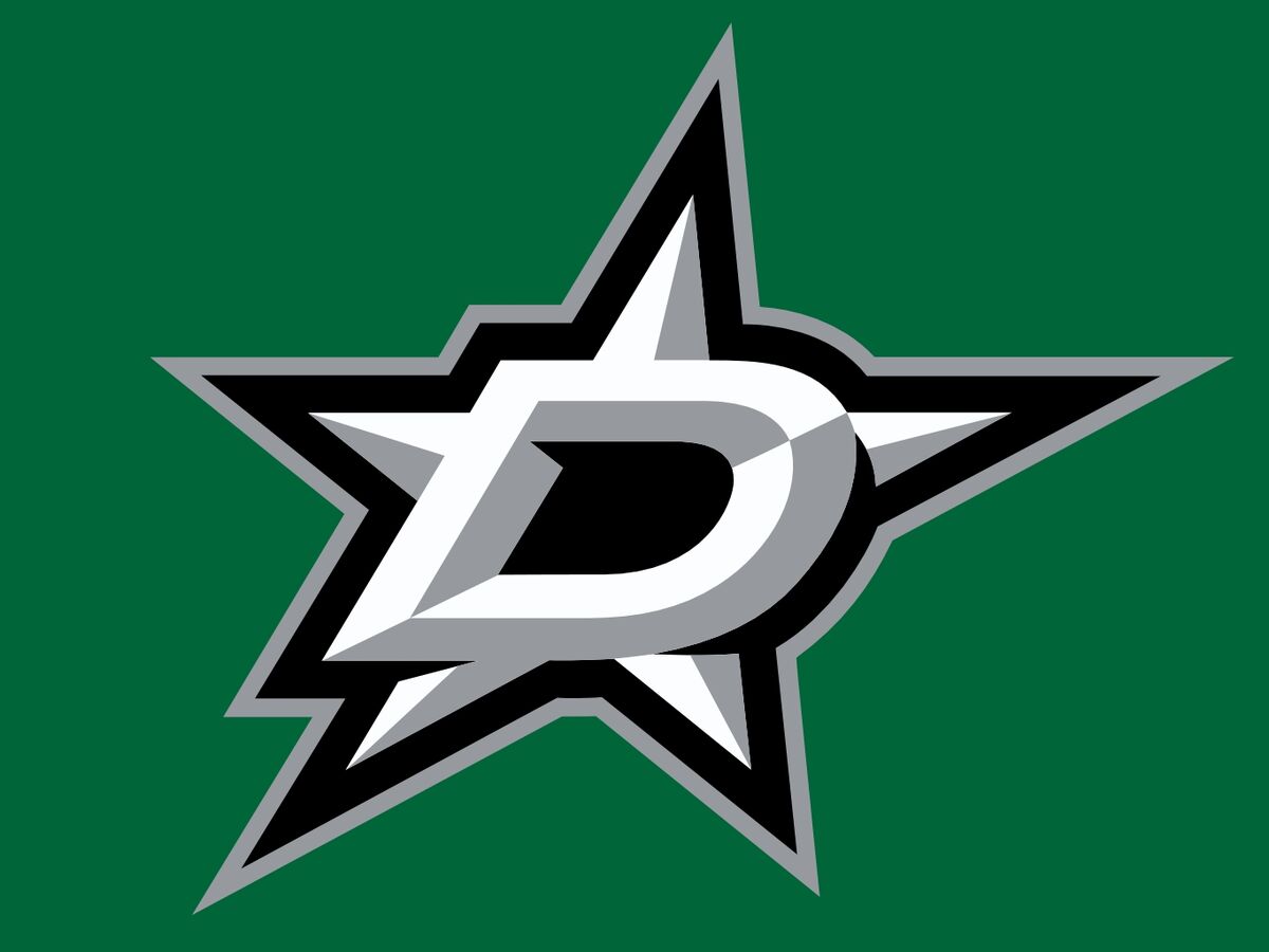 Dallas Stars NHL Team Logo Chain Necklace - Dragon Sports