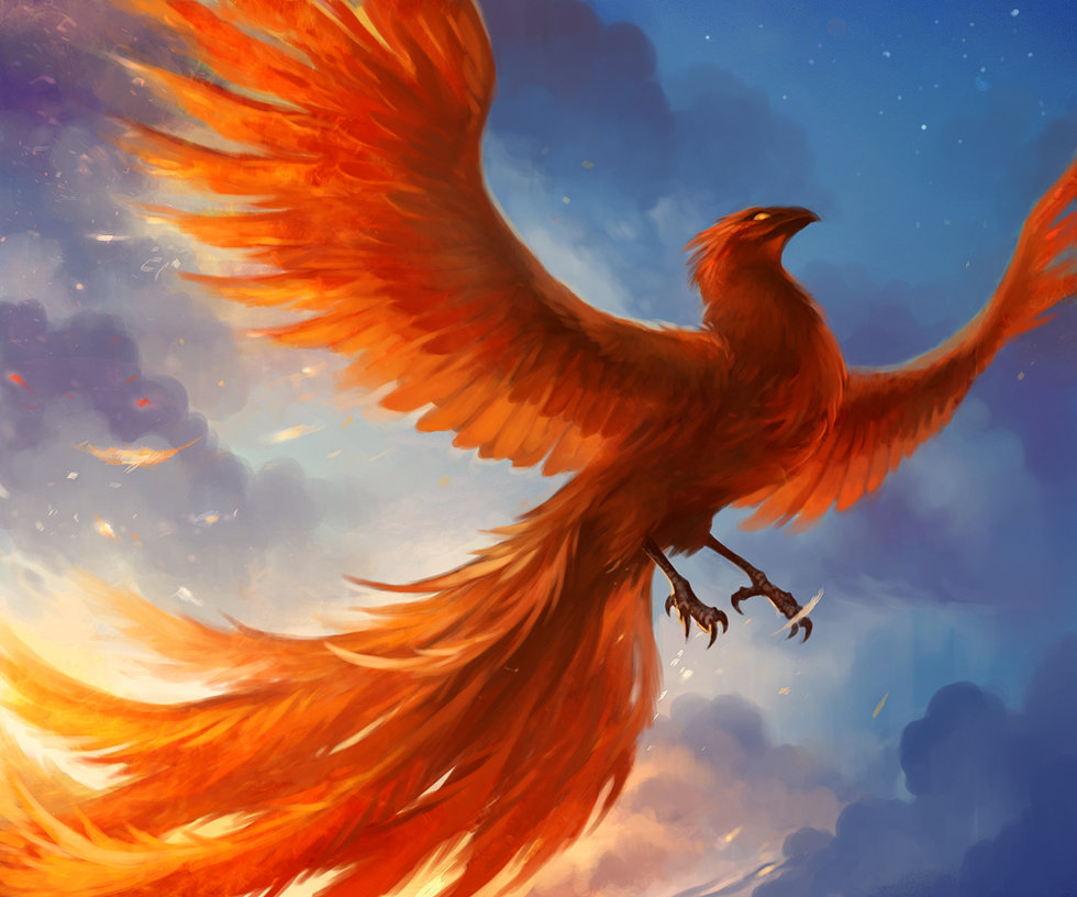 wiki phoenix viewer start wiki phoenix viewer start