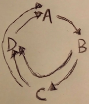 Niche Pattern Shape Graph