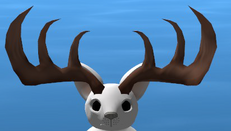 Megaloceros horns