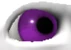Violeteye