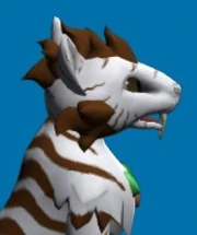 Niche Mane Color BroBla