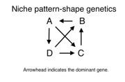 Alternative pattern-shape dominance graph.