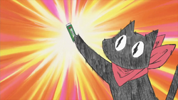 Anime Pfp Cat Sakamoto Nichijou Wiki Fandom Collection - Anime