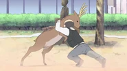 E6 - 37.png (1.4 MB) Principal vs Deer