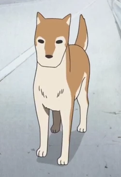 Buddy