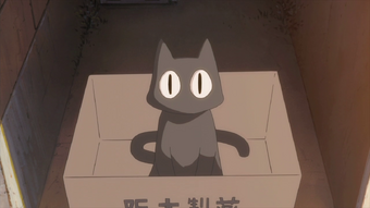 Sakamoto Nichijou Wiki Fandom - nichijou sakamoto the cat roblox