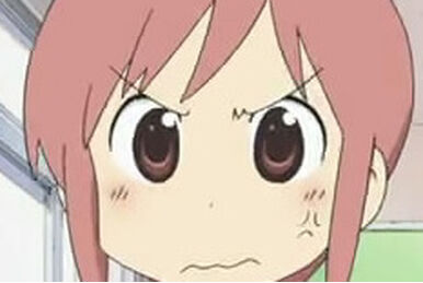 Anime Pfp Cat Sakamoto Nichijou Wiki Fandom Collection - Anime