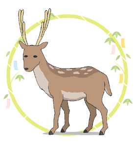 the deer nichijou wiki fandom the deer nichijou wiki fandom