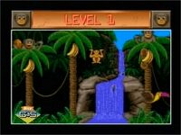 Jungle Fever.jpg