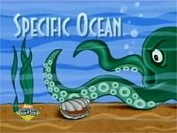 Specific Ocean.jpg