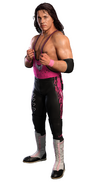 Bret Hart