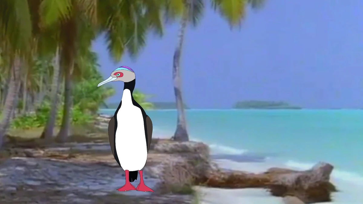 Reef cormorant Nick Jonas TV Series Wiki Fandom