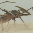 Scorpion du Silurien