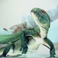Coelurosauravus