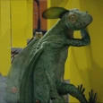 Coelurosauravus