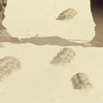 Mille-pattes du Silurien