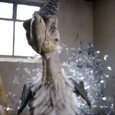 Oiseau Terreur