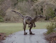 Utahraptor (NW 1.1 : Alerte dinosaures)