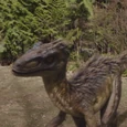Utahraptor