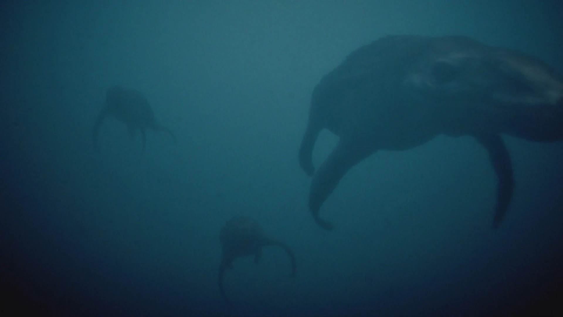 Liopleurodon | Wiki Nick Cutter et les Portes du Temps | Fandom, image size:1920x1080