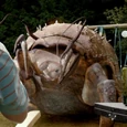 Insecte fouisseur géant du futur