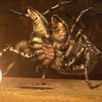 Arachnides du Carbonifère