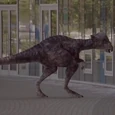 Pachycéphalosaurus