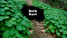 Bark Kart