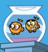 Goldfish Cosmo and Wanda.jpg (7 KB)