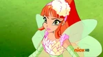 Winx-Club-Miele