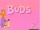 Buds