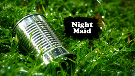 Night Maid