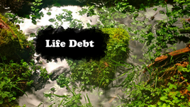 Life Debt