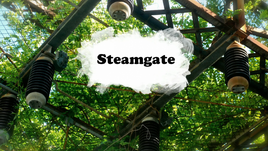 Steamgate