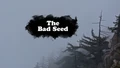 Title-TheBadSeed