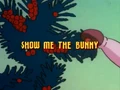 Title-Show Me the Bunny