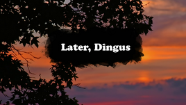 Later, Dingus