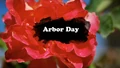 Title-ArborDay